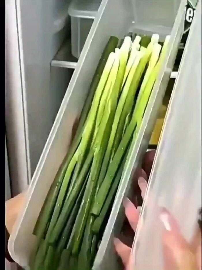 2Pcs Pe Plastic Fresh Vegetable Storage Containers - 24.99Cm Fridge Organizer Boxes For Cilantro, Green Onions, Mint - Durable Sealed Kitchen Storage Bins, Vegetable Storage Solution|Sleek Plastic Box|Secure Sealing Lid, Vegetable Storage Containers - Image 10