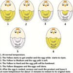 1Pc, Egg Timer, Boiled Color Change Indicator Tells When Eggs Are Ready, Cute And Creative Egg Timer, Reusable Egg Timer, Kitchen Tools Rv Kitchen Cooktop Accessories - Image 9