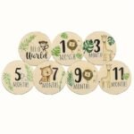 Wooden Monthly Milestone Cards, Announcement Signs, Pregnancy Gifts