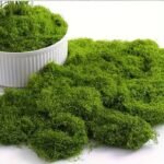 20Geternal Life Moss Diy Crafts Grass Artificial Green Plants Home Room Garden Decor Grass - Image 7