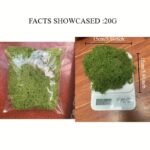 20Geternal Life Moss Diy Crafts Grass Artificial Green Plants Home Room Garden Decor Grass - Image 5