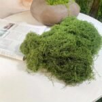 20Geternal Life Moss Diy Crafts Grass Artificial Green Plants Home Room Garden Decor Grass - Image 2