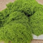 20Geternal Life Moss Diy Crafts Grass Artificial Green Plants Home Room Garden Decor Grass - Image 3