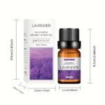 16 Types Of Essential Oils, Essential Oil 10Ml, For Diffuser, Humidifier, Candle, Hair Conditioner - Rose/Sea/Cherry/Dong Yi Grass/Lily/Sandalwood/Sweet Orange/Osmanthus Green Tea/Mint Tea (0.34 Oz) - Image 6