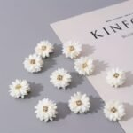 Fabric Flower Hair Clips Set | 10Pcs | Solid Color Floral With Rhinestone Center | For Women | Party, Gathering, Daily Wear, Valentine'S Day | Chinese Style | White