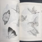Chinese Line Drawing Of Butterflies, My First Chinese Painting Album, A Guide To Traditional Chinese Painting, Suitable For Teenagers And Adults For Stress Relief, Diy Coloring Book, Watercolor, Ink Painting, Oil Painting. Chinese Version - Image 5