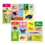 1 Box Of 12 English Enlightenment Reading Materials For Children And Toddlers, Recognizing Animals, Colorful Pictures, Large Cards, Sensory Cards, Stimulating Brain And Memory Development - Image 10