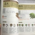 Chinese Medicine Formulae Light Picture Dictionary, Simplified Chinese Edition, Health Science Reference Book, 400G, With 300+ Classic Prescriptions, 20+ Categories, For Students, Medical Professionals, And Traditional Enthusiasts, Age 14+, Chinese Version - Image 3