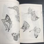 Chinese Line Drawing Of Butterflies, My First Chinese Painting Album, A Guide To Traditional Chinese Painting, Suitable For Teenagers And Adults For Stress Relief, Diy Coloring Book, Watercolor, Ink Painting, Oil Painting. Chinese Version - Image 6