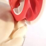 Versatile Manual Pie Crust & Dough Cutter - Easy-To-Use Pastry Wheel For Perfect Edges, Ideal Kitchen Gadget For Baking Enthusiasts - Image 7
