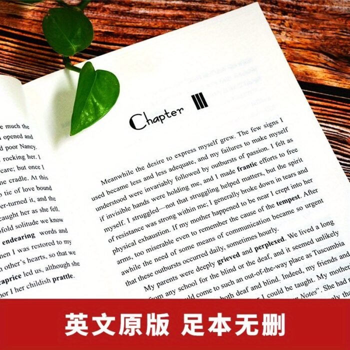 English Version Of "If I Had Three Days Of Light" - Image 2