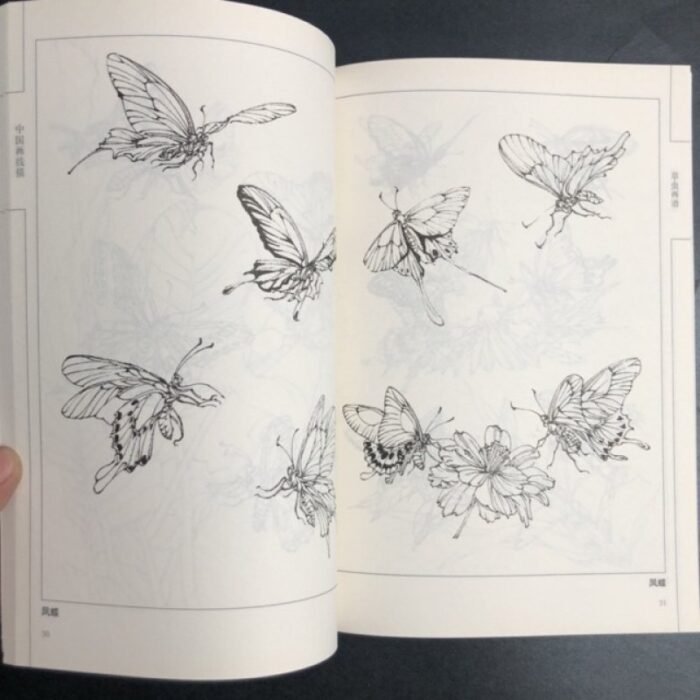 Chinese Line Drawing Grasshopper Painting Book: Beginner'S Guide To Traditional Chinese Art, Sketching For Relax - Diy Coloring Book For Teens And Adults, Watercolor, Ink Wash, Oil Painting Chinese Version - Image 5