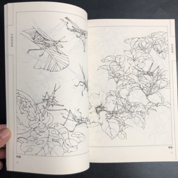Chinese Line Drawing Grasshopper Painting Book: Beginner'S Guide To Traditional Chinese Art, Sketching For Relax - Diy Coloring Book For Teens And Adults, Watercolor, Ink Wash, Oil Painting Chinese Version - Image 6