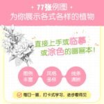 Flower Painting Pencil Line Drawing Copybook Chinese Version - Image 5