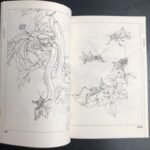 Chinese Line Drawing Grasshopper Painting Book: Beginner'S Guide To Traditional Chinese Art, Sketching For Relax - Diy Coloring Book For Teens And Adults, Watercolor, Ink Wash, Oil Painting Chinese Version - Image 2