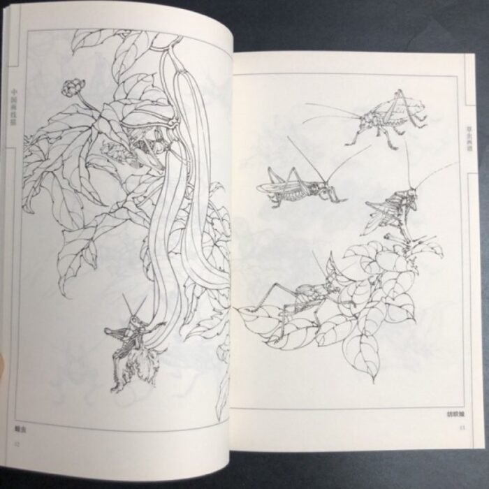Chinese Line Drawing Grasshopper Painting Book: Beginner'S Guide To Traditional Chinese Art, Sketching For Relax - Diy Coloring Book For Teens And Adults, Watercolor, Ink Wash, Oil Painting Chinese Version - Image 2