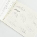 Flower Painting Pencil Line Drawing Copybook Chinese Version - Image 3
