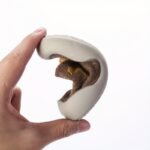 Baby Indoor Slippers | Multi-Color Cartoon Animal Designs | Soft Fabric & Tpr Sole | Non-Slip, Comfortable House Shoes For Toddlers | Perfect For Christmas & Halloween | Spring/Autumn Season, Cozy Home Slippers | Festive Toddler Footwear | Flexible Tpr Sole, Toddler Shoes - Image 4