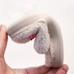 Kids Winter Plush Slippers, Embroidered Rainbow Stripes, Warm Lightweight Breathable Fabric, Round Toe Low Top Tpr Sole, Casual Fashion Slip-On Shoes For Boys & Girls, 14 And Under - Fall/Winter Collection, Thick - Image 7