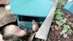 1Pc, Plastic Snail Cage Slug Catcher Trap Tools Animal Pest Trapper Control, No Harm To Vegetable And Flower Green, 10.01X11.0Cm - Image 13