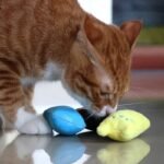 Cat Teaser Toy 1Pc Interactive Cat Teaser Toy | Cat Design Containing Squeaky Plush Pillow Toy - Pet Supply - Image 4