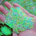 8000Pcs Blue Stone Glow In The Dark Rocks For Outdoor Garden Luminous Decor Rubble For Pots Decoration, Yard Ornament, Pebbles For Plants Indoor Vase, Glowing Small Rocks Gravel Glows Blue - Image 7