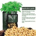 1Pc Potato Growing Bags, Durable Fabric Garden Planter Pots With Flap & Handle, Pots, Planters & Container Accessories, 7 Gallon 30X35Cm, - Image 7