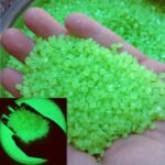 1000Pcs Luminous Stones, Resin Glow In The Dark Rocks For Halloween Decor, Micro Landscape, Bonsai Decor, Pathway, Aquarium, Lawn, Yard, Fall Decor - Image 11