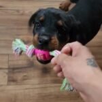 Interactive Dog Chew Toy - Keep Your Pet Entertained And Active With This 1Pc Knot Toy! - Image 13
