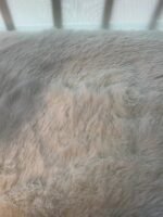 A Set Of 1, Women'S Solid Contrast Earth Tone Spaghetti Strap Bra, Beautiful Back Bralette, Soft Breathable Removable Bra Pads, Single Breasted Minimalist Basic Underwear Tops For Women, Solid Color Underwear For All Seasons - Image 11