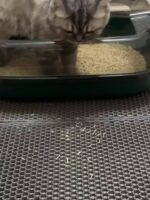 Honeycomb Double Layer Cat Litter Trapping Mat, Non-Slip Washable Cat Cleaning Mat For Pet Toilet Kennel Litter Box - Image 19