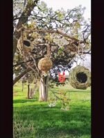 2Pcs/3Pcs/4Pcs Hand Woven Hummingbird Nest House - Perfect For Outdoor Garden And Yard, Ball Shape Design For Comfortable Nesting - Image 14