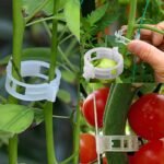 30/150Pcs Tomato Clips, Plastic Trellis Clips, Plant Support Clips, Grape Vine Tomato Vine Vegetables Plants Garden Support Clips To Grow Upright Makes Plants Healthier - Image 8