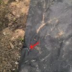 15/25Pcs Galvanized Garden Landscape Pin, U-Shaped Lawn Fabric Landscape Pin For Safety Garden Flower Plants Supplies, Garden Balcony Planting Supplies, Planters & Container Accessories - Image 10