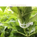 30/150Pcs Tomato Clips, Plastic Trellis Clips, Plant Support Clips, Grape Vine Tomato Vine Vegetables Plants Garden Support Clips To Grow Upright Makes Plants Healthier - Image 9