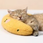 Fair Little Pillow For Cats, Ultra Soft Fluffy Pet Calming Toy Half Donut Cuddler For Joint Relief Sleeping Improve Machine Washable - Image 6