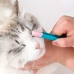 Cat Tear Stain Brush, Pets Eye Comb Brush Pet Eye Cleaning Clip For Dog And Cat