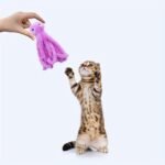 Cat Toy Cute Octopus Shaped Plush Toy Bite-Resistant Grinding Teeth Interactive Play Pet Supplies - Image 8