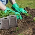 100Pcs, Seed Nursery Bags: Non-Woven Fabric Pots For Home Garden Supply And Soil Transplant Pouches - 8.0X10.01Cm - Image 9