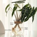 1Pc Bottle With Wooden Stopper Bottle Hydroponics Flower Bottle Container With Lid House Plant Pots Glass Vases Container Flower Arrangement Vase Ecosystem Containe Creative Hydroponic Planter For Living Room, Office, And Desktop Garden Decor - Image 3