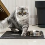 Double Layer Cat Litter Trapping Mat, Non-Slip Waterproof Cat Cleaning Mat For Pet Toilet Kennel Litter Box - Image 8