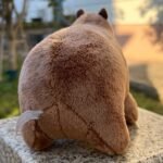 Adorable 22.35Cm Capybara Plush Toy - Soft, Lifelike Rodent Stuffed Animal With Smiling Face, Perfect For Boys & Girls, Ideal Birthday Or Holiday Gift, Stuffed Plushies - Image 6