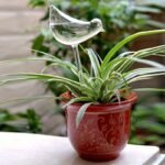 Set Of 5 Self-Watering Globes Designed Like Birds - Ideal For Automatic Watering Of Flowers And Gardening Tools At Home. - Image 6