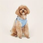 Comfy & Safe Pet Harness: Soft Mesh Cat & Dog Vest With Reflective Strip For Small Dogs - Image 9