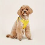 Comfy & Safe Pet Harness: Soft Mesh Cat & Dog Vest With Reflective Strip For Small Dogs - Image 5