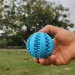 Teddy Puppy Dental Chew Ball For Teeth Cleaning & Plaque Removal - Heavy-Duty Plastic Individually Wrapped Dental Toy With Non-Toxic Chewable Chew Ball, Interlocking Teeth Design & Hanging Loop For Small/Medium/Large Dogs - All Breed Sizes, & Dental Health, Chew Ball For Teeth Cleaning & Mental Stimulation, Durable Chewable Dog Toy With Ergonomic Teeth-Cleaning Holes (No Liquid) - Image 13