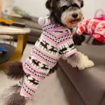 1Pc Pet Christmas Reindeer Graphic Pajamas Hooded Jumpsuit For Puppy, Toy And Small Dog For Stocking Stuffers - Image 10