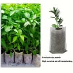 100/200/300Pcs Seedling Nursery Bags, Non-Woven Fabric Planting Bags, Cloth Seedling Pots For Gardening, Soil Transplanting Supplies, 8.0X10.01 Cm Agricultural Production Accessories - Image 8