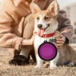 Portable Foldable Pet Bowl With Black Frame, 350Ml Tpr Dog Food Dish For Outdoors - Image 10
