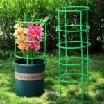 12Pcs, Plant Support Plant Stakes, Half Round Plant Support Ring Plastic Plant Cage Holder Flower Pot Climbing Trellis For Small Plant Flower Vegetable, Indoor Plants - Image 11